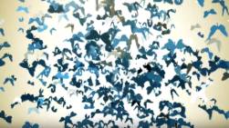 Make a Butterfly logo opener